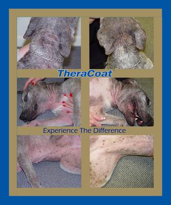 TheraCoat Dog & Cat Supplement, 14.1-oz jar