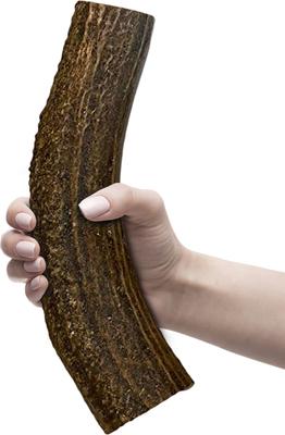 Elk Antlers XX-Large Whole Dog Chew Treat