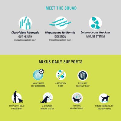 Daily X-Large All-Natural Probiotic Digestive Dog Supplement, 1.6-oz jar