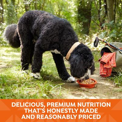 Grain-Free Chicken Recipe in Broth Wet Dog Food, 2.75-oz tray, bundle of 24