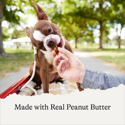 Peanut Butter Recipe Grain-Free Oven Baked Crunchy Biscuit Dog Treats, 8-oz bag