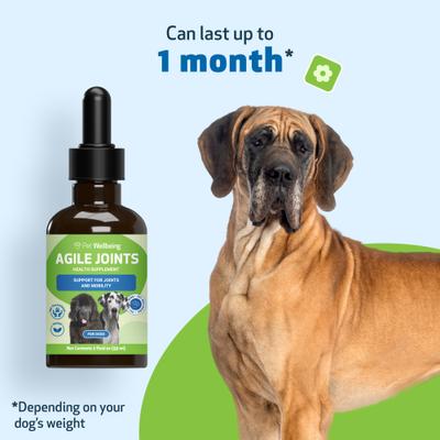 Agile Joints Liquid Joint Supplement for Dogs, 2-oz bottle