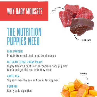 Baby Mousse for Puppies Grain-Free, Beef, Beef Liver & Pumpkin Recipe Wet Dog Food, 3-oz pouch, case of 12