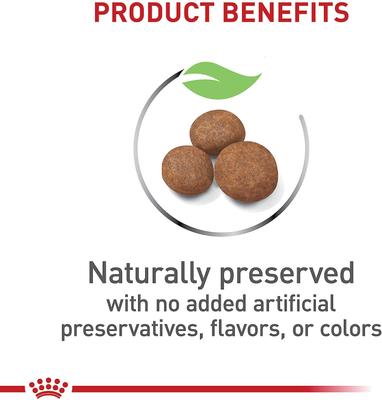 Size Health Nutrition Large Puppy Dry Dog Food, 30-lb bag