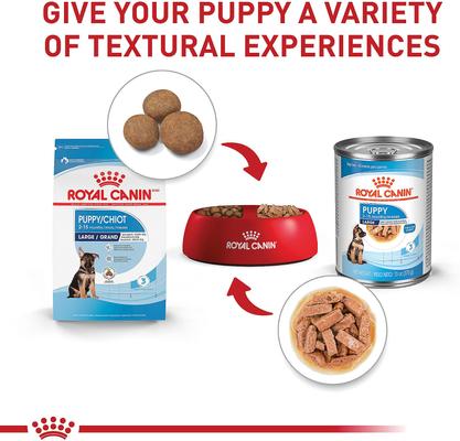 Size Health Nutrition Large Puppy Dry Dog Food, 30-lb bag