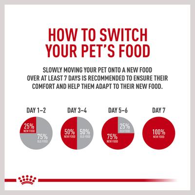 Canine Health Nutrition Mature 8+ Loaf In Sauce Wet Dog Food, 5.2-oz can, case of 24