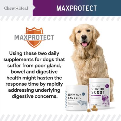 MaxProtect Digestive & Scoot + Heal Bowel Health & Digestive Support Soft Chew Supplement for Dogs, 240 count