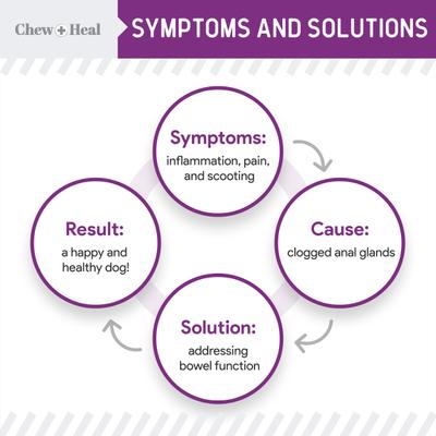 MaxProtect Digestive & Scoot + Heal Bowel Health & Digestive Support Soft Chew Supplement for Dogs, 240 count