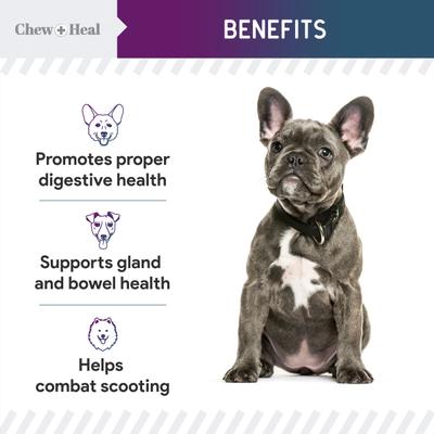 MaxProtect Digestive & Scoot + Heal Bowel Health & Digestive Support Soft Chew Supplement for Dogs, 240 count