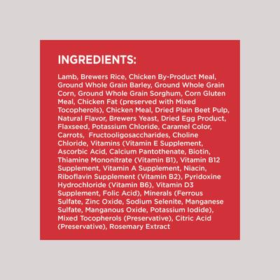 Bundle: Iams MiniChunks Small Kibble High Protein + Lamb & Rice Recipe Dry Dog Food