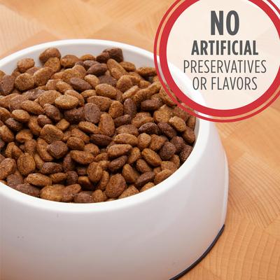 Bundle: Iams MiniChunks Small Kibble High Protein + Lamb & Rice Recipe Dry Dog Food