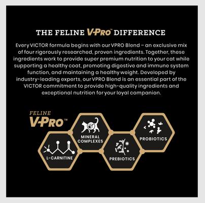 Hi-Pro Plus Active Cat & Kitten Ocean Fish Recipe High Protein Dry Cat Food, 15-lb bag