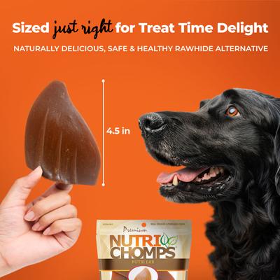 Chicken Flavor Ears Dog Treats, 10 count