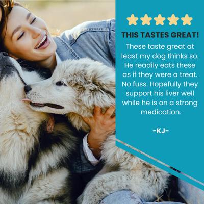 Milk Thistle Liver Support Salmon & Bacon Flavor Dog Supplement, 100 count