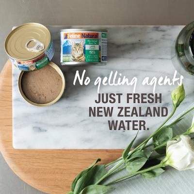 Lamb Feast Grain-Free Canned Cat Food, 3-oz, case of 24