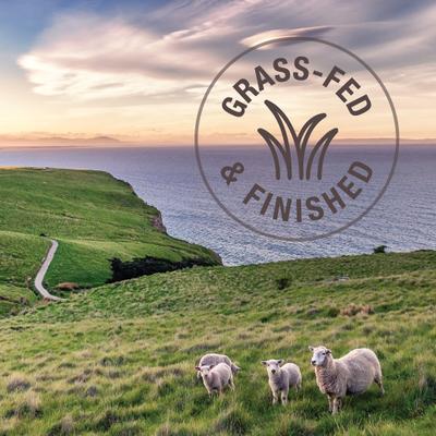 Lamb Feast Grain-Free Canned Cat Food, 3-oz, case of 24