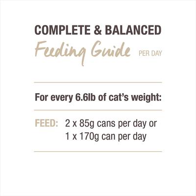 Lamb Feast Grain-Free Canned Cat Food, 3-oz, case of 24