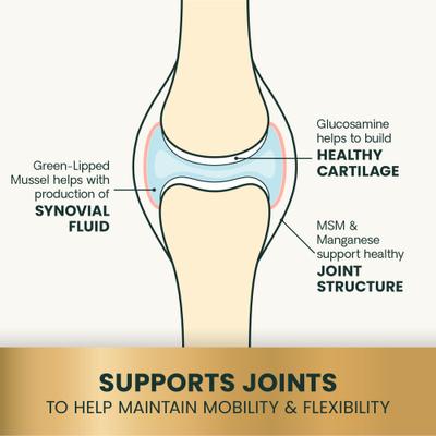 GlycoFlex 2 Healthy Hip & Joint Chicken-Flavored Chews with Glucosamine & Green-Lipped Mussel Supplement for Dogs, 120 count