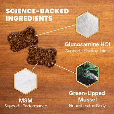 GlycoFlex 2 Healthy Hip & Joint Chicken-Flavored Chews with Glucosamine & Green-Lipped Mussel Supplement for Dogs, 120 count