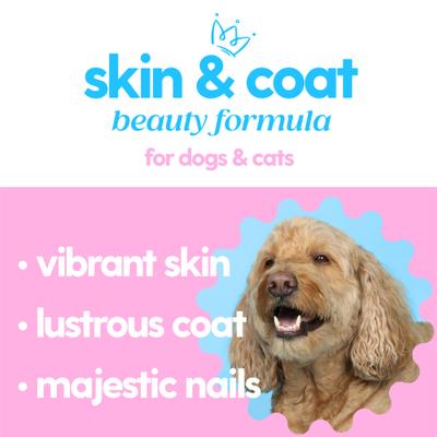 Collagen Bacon Flavored Liquid Skin & Coat Supplement for Dogs & Cats, 4-fl oz bottle