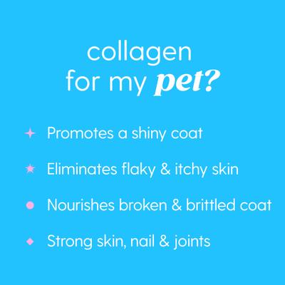 Collagen Bacon Flavored Liquid Skin & Coat Supplement for Dogs & Cats, 4-fl oz bottle