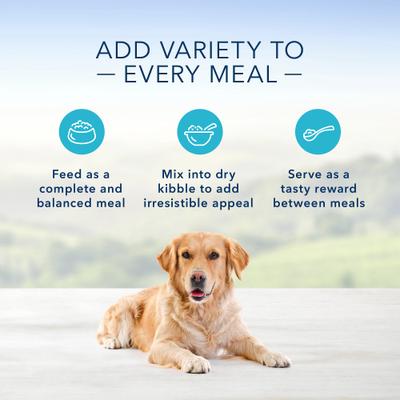 Comida enlatada para perros Turkey Day Feast, recetas sin cereales favoritas de la familia, 12 onzas, caja de 12