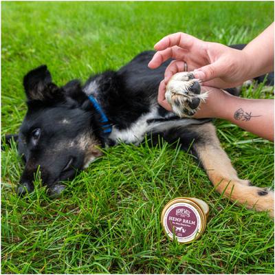 Cat & Dog Skin, Nose & Paw Hemp Balm, 1.75-fl oz tin