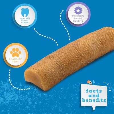 Himalayan Yak Cheese Dog Treat, 4-oz bag