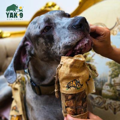 CrunCheese Natural 100% Yak Flavored Crunchy Dog Treats, 0.37-lb bag