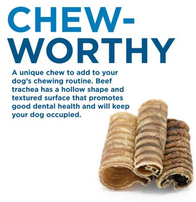 Beef Trachea Dog Treats, 50 count