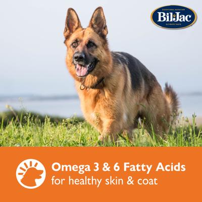 Large Biscuit Crunchy Dog Treats, 4-lb bag