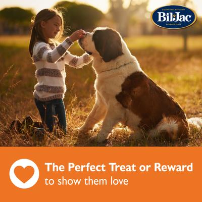 Large Biscuit Crunchy Dog Treats, 4-lb bag