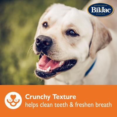 Large Biscuit Crunchy Dog Treats, 4-lb bag