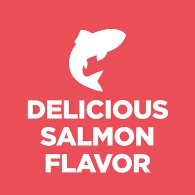 Adult Indoor Salmon & Vegetable Medley Minced Wet Cat Food, 5.5-oz can, 24 count