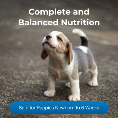 PetLac Puppy Milk Replacement Powder for Puppies, 10.5-oz can