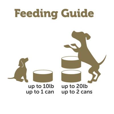 Taste Toppers - Alimento húmedo natural para perros con pechuga de pollo, salmón y verduras en caldo, bolsa de 5.5 oz, caja de 12