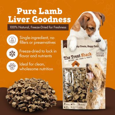 Single Ingredient Lamb Liver Freeze-Dried Dog & Cat Treats, 4-oz bag