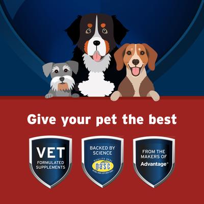 Synovi G4 Hip & Joint+ Chicken Flavored Soft Chew Supplement with Glucosamine for Dogs, 120 count