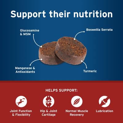 Synovi G4 Hip & Joint+ Chicken Flavored Soft Chew Supplement with Glucosamine for Dogs, 120 count