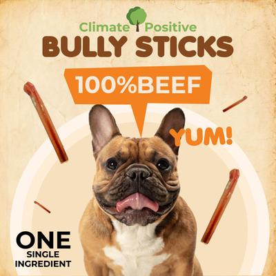 Bully Sticks Dog Treats, 12 count