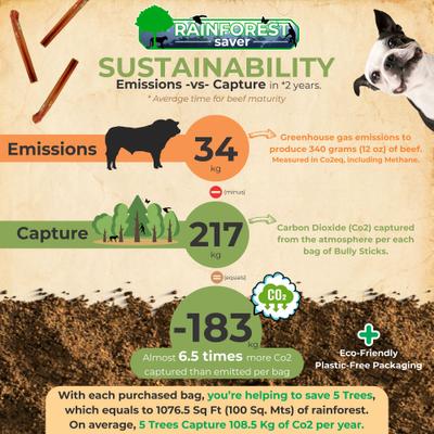 Bully Sticks Dog Treats, 12 count