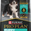 Paquete: Alimento seco para perros Purina Pro Plan Puppy con fórmula de pollo y arroz + Chupete para la dentición Nylabone