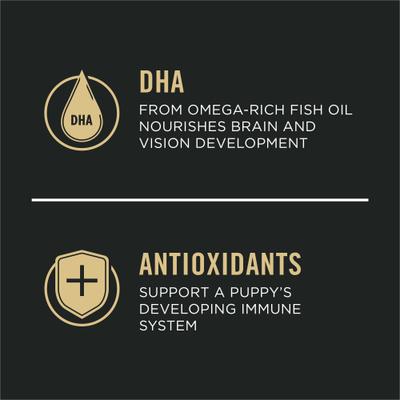 Paquete: Alimento seco para perros Purina Pro Plan Puppy con fórmula de pollo y arroz + Chupete para la dentición Nylabone