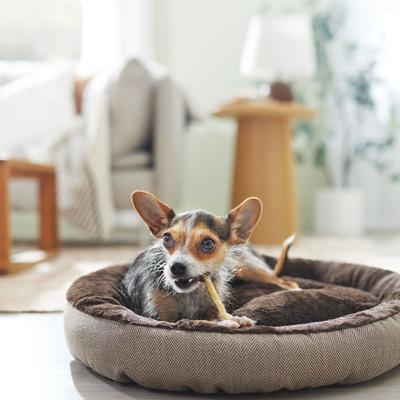 DogLicious 5" Chew Stick Dog Treats, 20 count