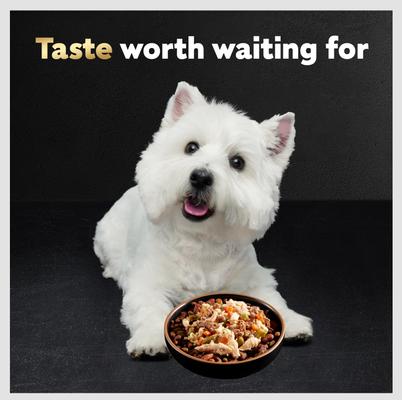 Simply Crafted Chicken, Duck, Purple Potatoes, Pumpkin, Green Beans & Brown Rice Adult Wet Dog Food Meal Topper, 1.3-oz tray, case of 10