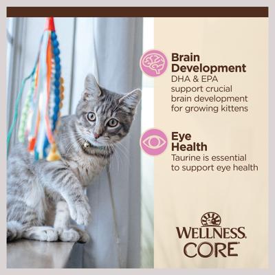 CORE Tiny Tasters Kitten Chicken Grain-Free Minced Wet Cat Food, 1.75-oz pouch, case of 12