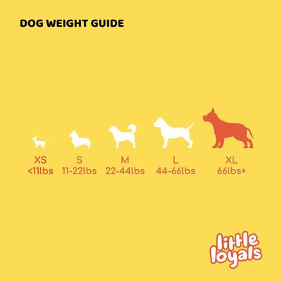 Premium Heather Tree Wood Dog Chew, X-Large