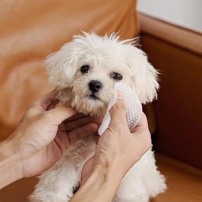 Toallitas hipoalergénicas para ojos de perros y gatos, 100 unidades