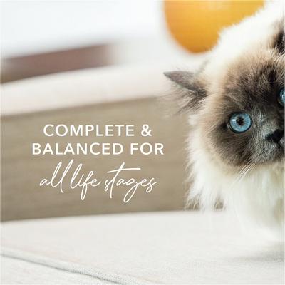 Beef & Hoki Feast Grain-Free Canned Cat Food, 6-oz, case of 12