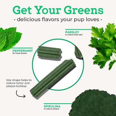 Advanced with Prebiotics Dental Dog Treats, 15 count